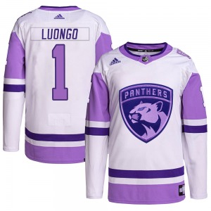 Adult Authentic Florida Panthers Roberto Luongo White/Purple Hockey Fights Cancer Primegreen Official Adidas Jersey